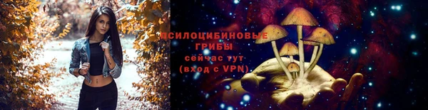 гидра Арсеньев