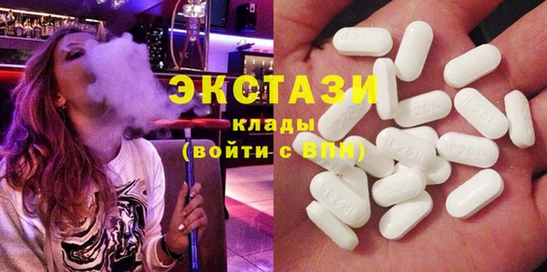 гидра Арсеньев