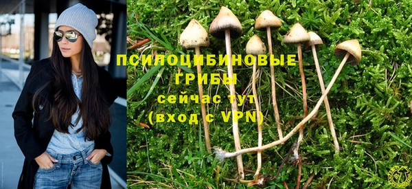 MDMA Premium VHQ Аркадак