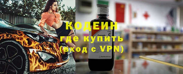 гидра Арсеньев